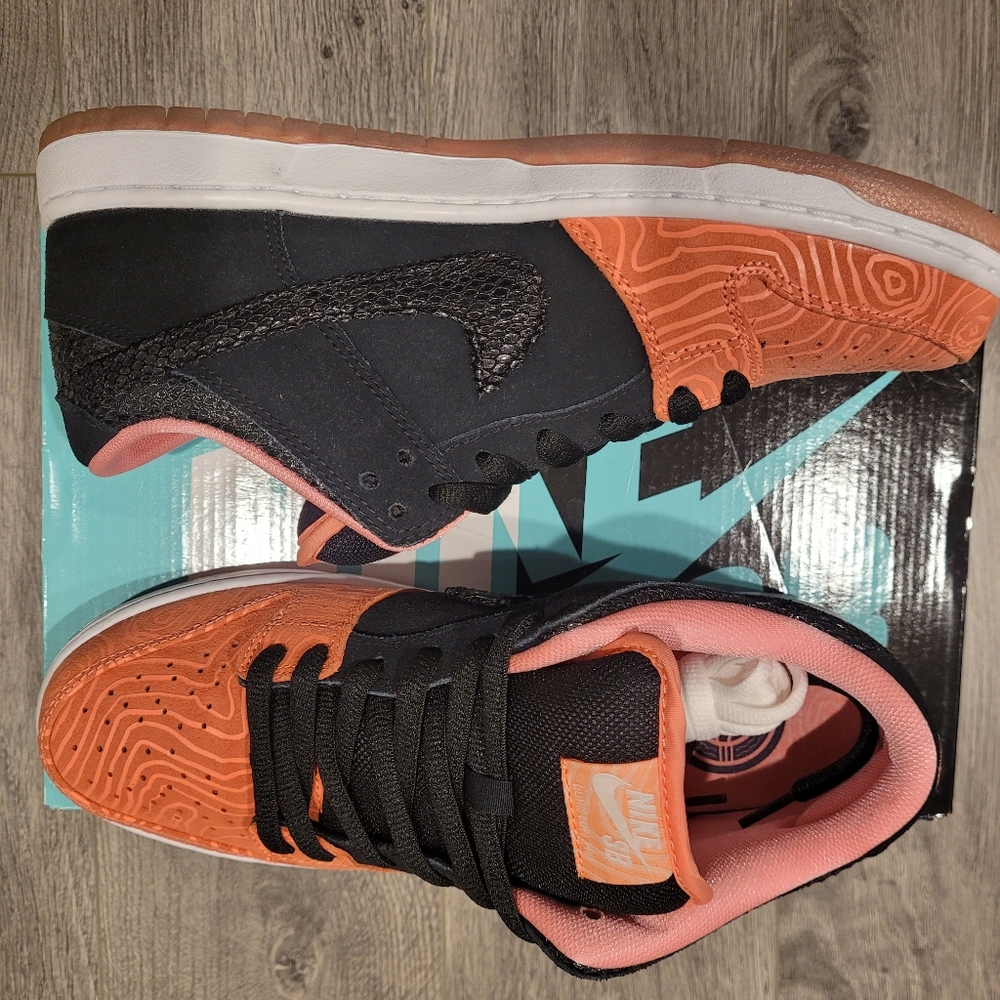 Nike SB Dunk Low 'Fish Ladders'